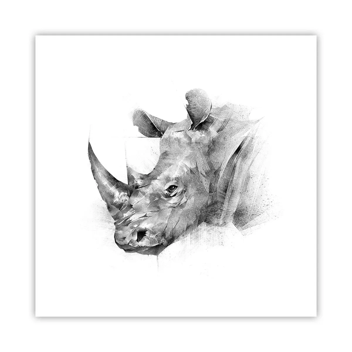 Póster - Retrato africano - 30x30 cm