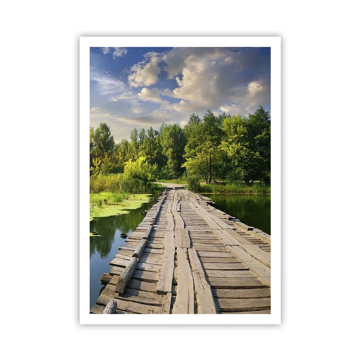 Póster - Verano, verano en todas partes - 70x100 cm