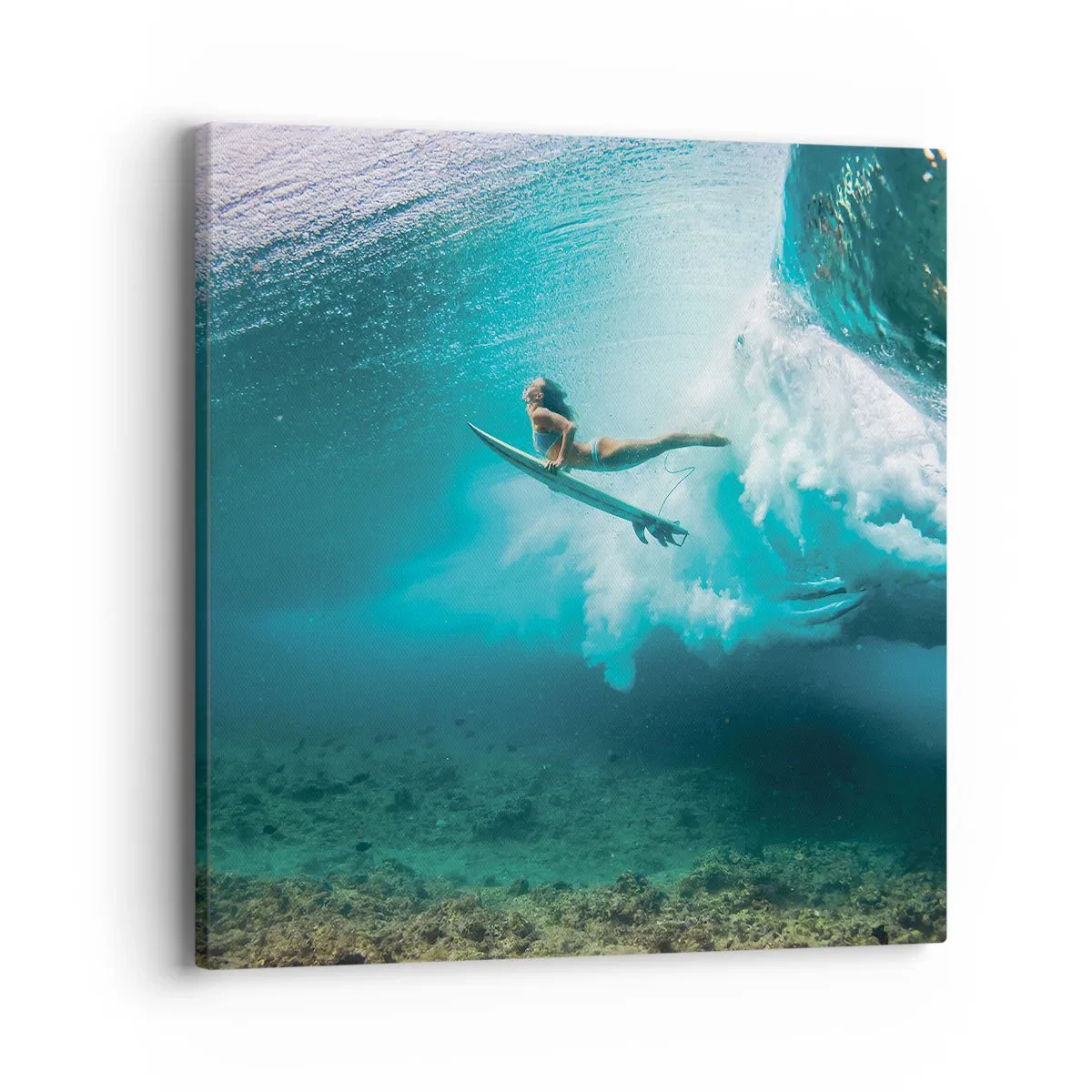 Cuadro sobre lienzo - Impresión de Imagen - Mundo submarino - 40x40 cm