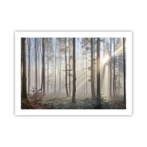Póster - La niebla también está despierta - 70x50 cm