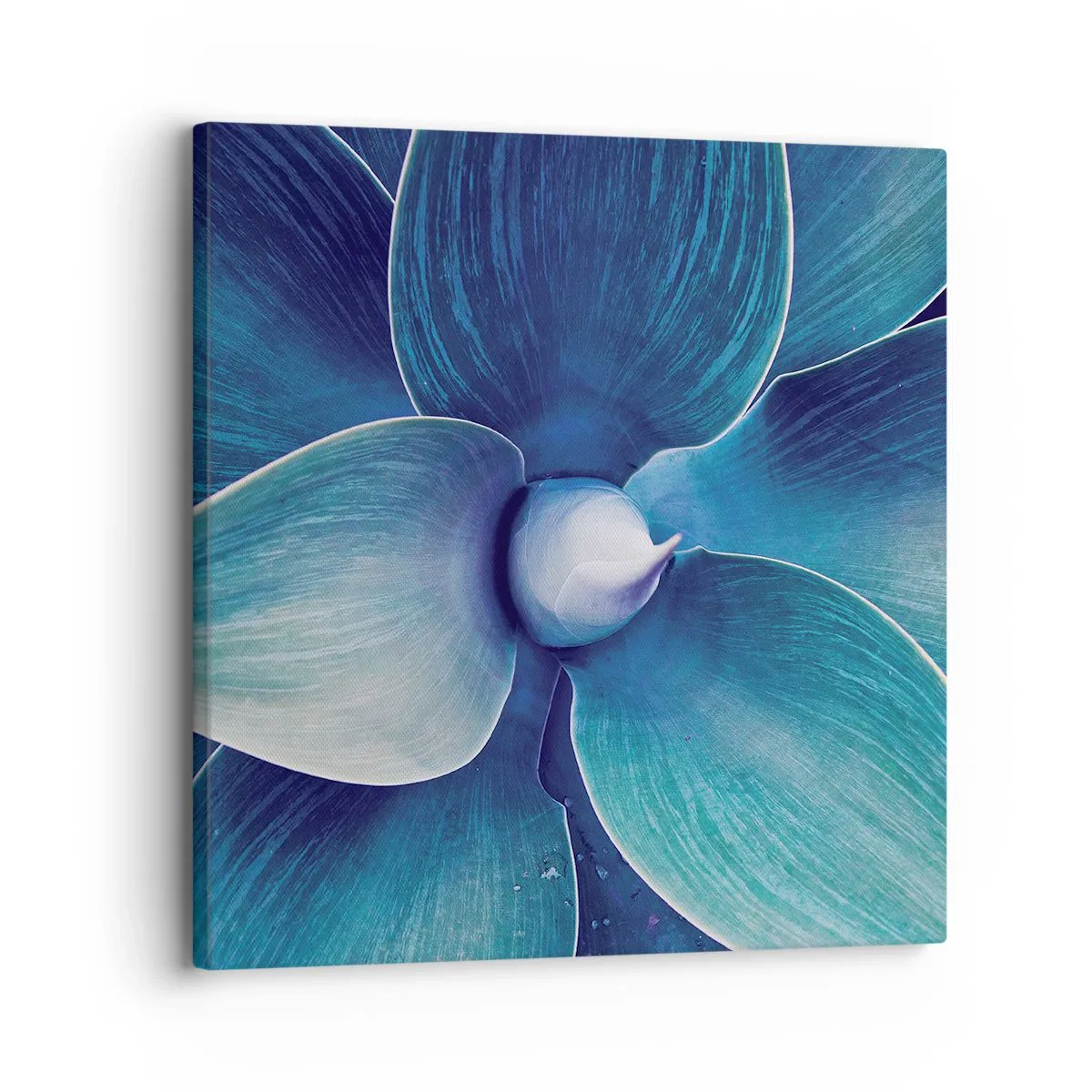 Cuadro sobre lienzo - Impresión de Imagen - Azul del cielo - 30x30 cm