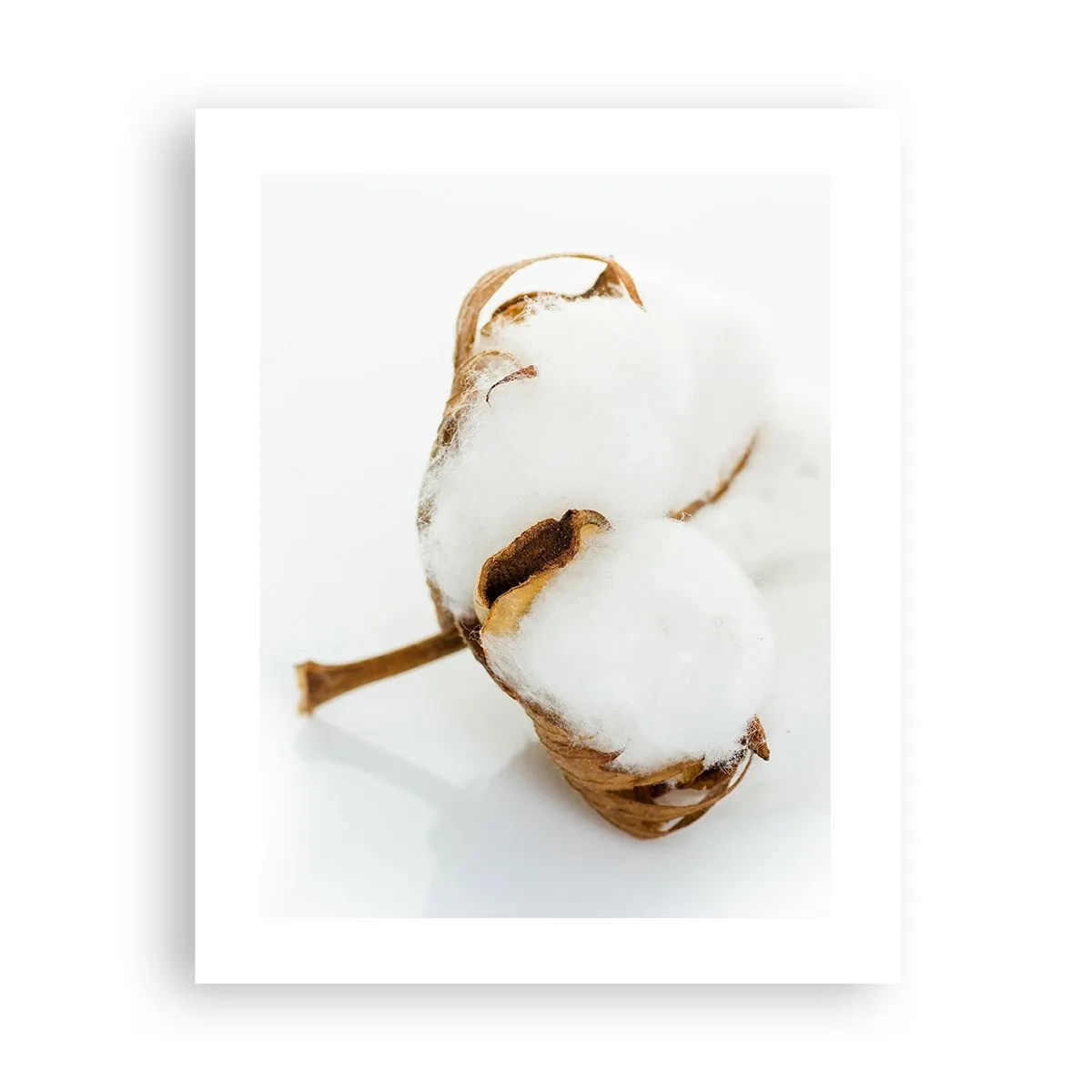 Póster - Suave por naturaleza - 40x50 cm