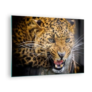 Cuadro sobre vidrio - Impresiones sobre Vidrio - Primer plano de un leopardo agresivo con detalles claros. - 70x50cm - ¡Atrás, te lo advierto! - Decoración de pared moderna para salón y dormitorio ARTTOR