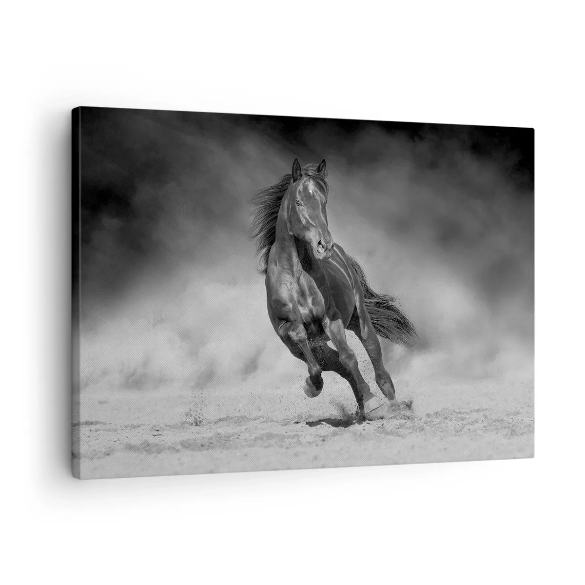 Cuadro sobre lienzo - Impresión de Imagen - Un caballo blanco y negro galopando por la arena. - 70x50cm - Digno del propio emir - Decoración de pared moderna para salón y dormitorio ARTTOR