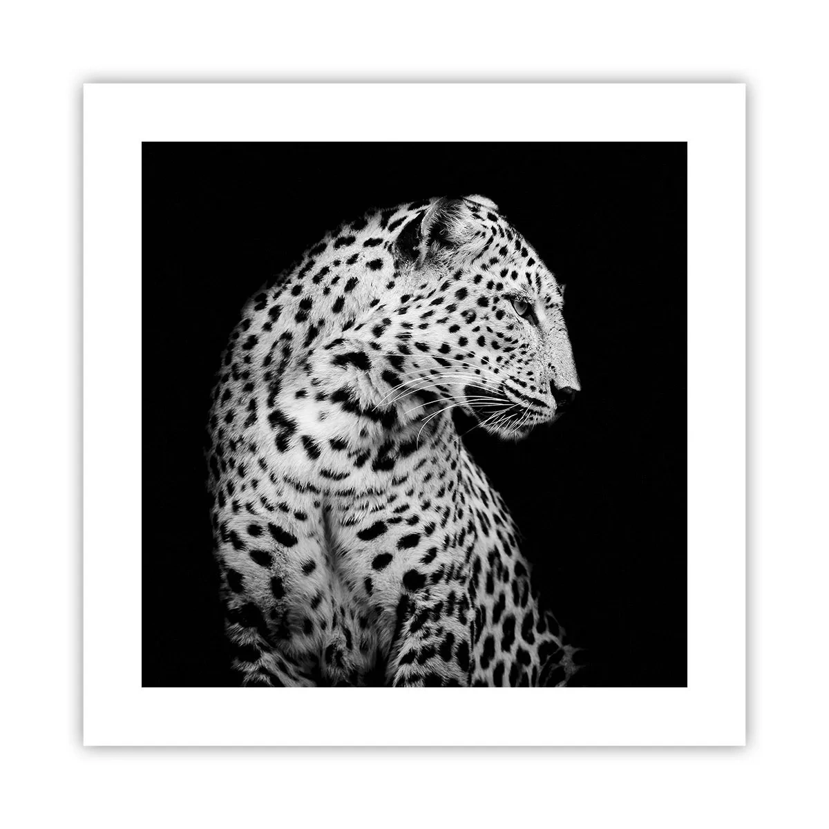 Póster - El perfil derecho es perfecto - 40x40 cm