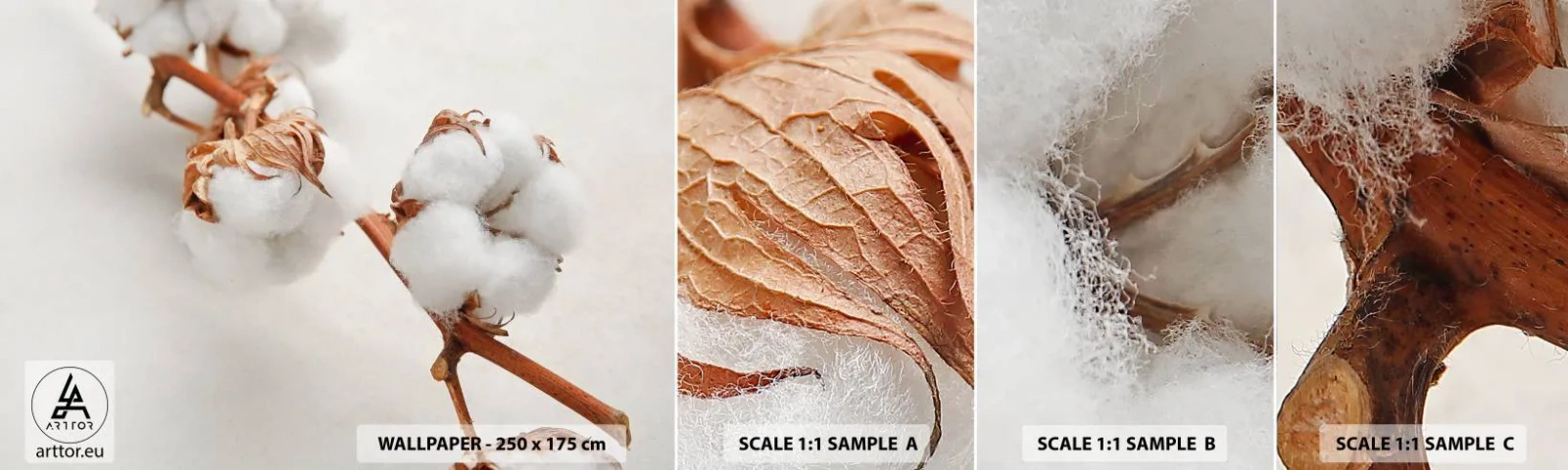 Muestra De Fotomural Standard Eco - Un suave tacto - Flor de algodon, Flor, Ramita de algodón - 100x30 cm