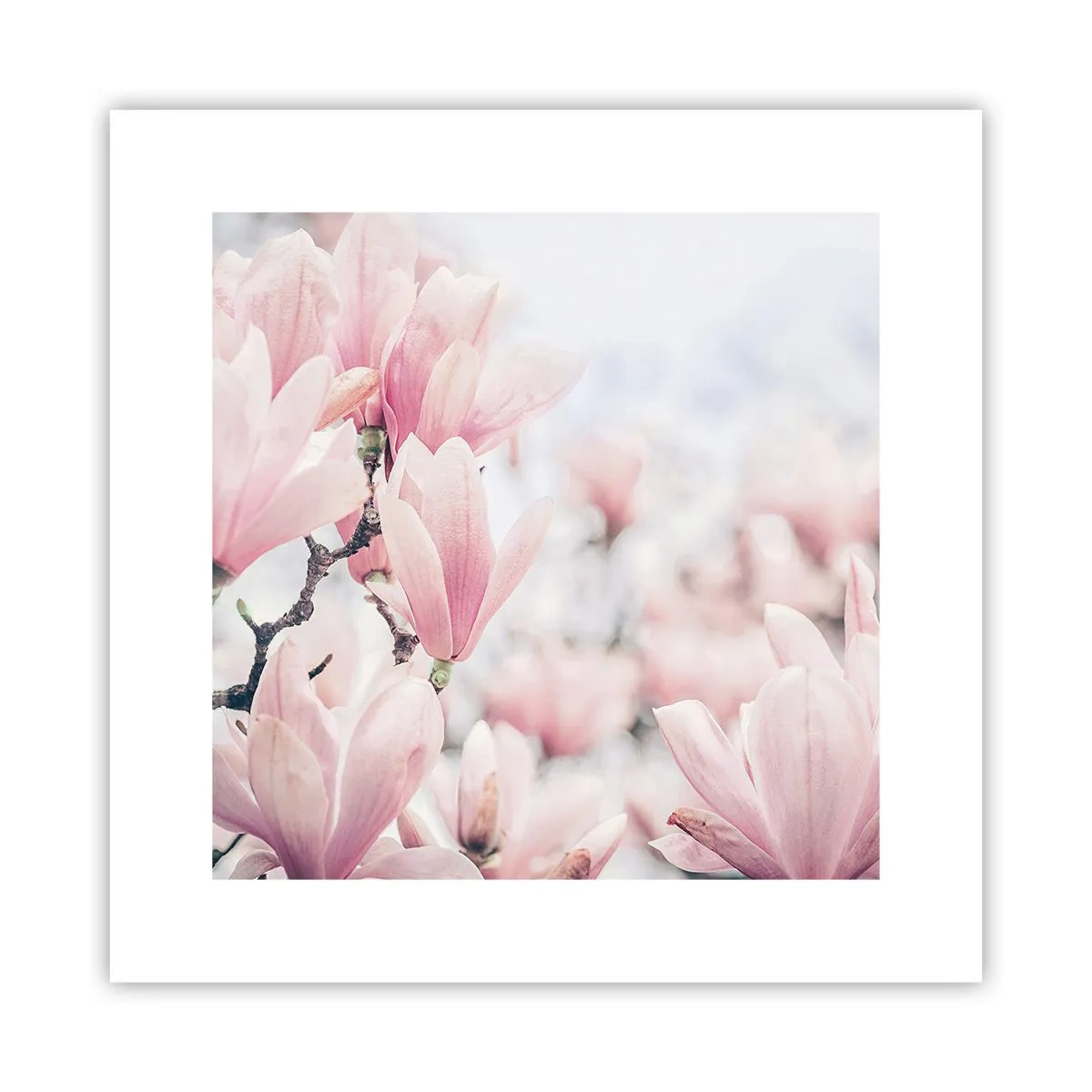 Póster - La perfección de la sutileza - 30x30 cm