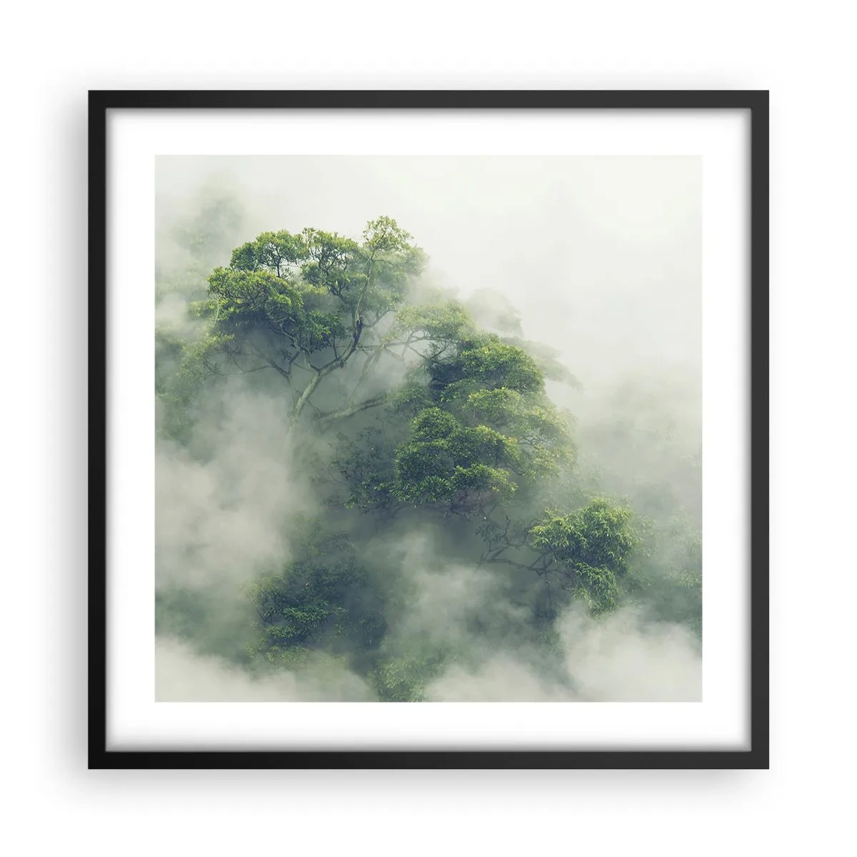 Póster en marco negro - Envuelto en niebla - 50x50 cm