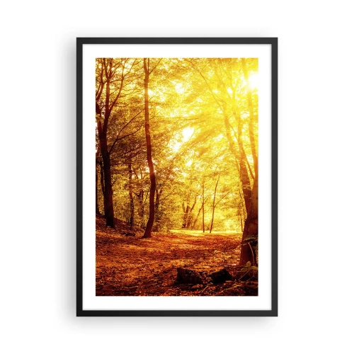 Póster en marco negro - Atardecer iluminando un bosque otoñal lleno de hojas doradas - 50x70cm - Hacia un claro de oro - Decoración de pared moderna para salón y dormitorio ARTTOR