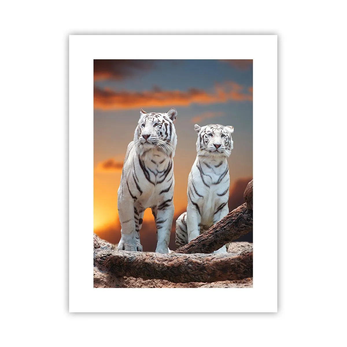 Póster - Como en Narnia - 30x40 cm