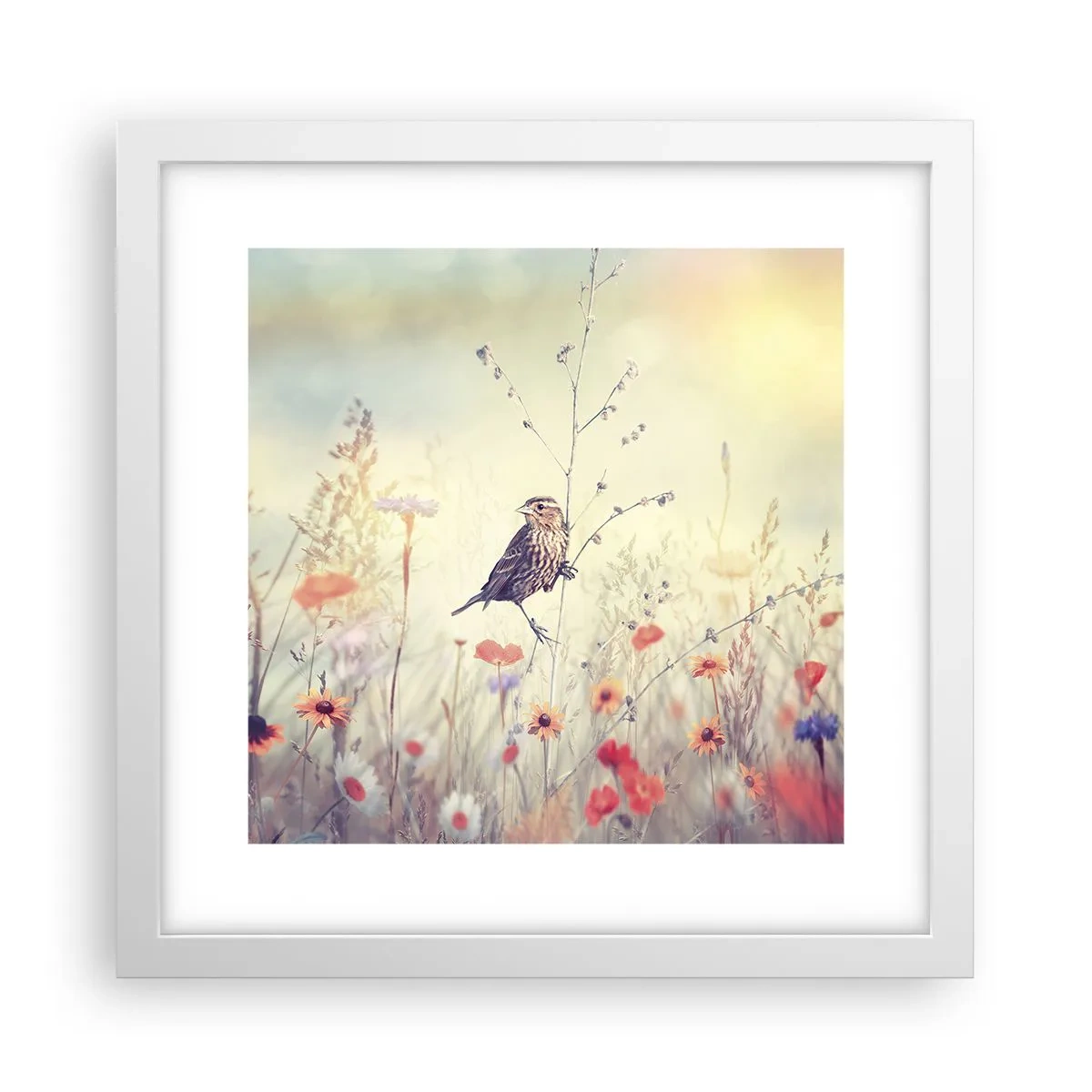 Póster en marco blanco - Retrato de pájaro con prado de fondo - 30x30 cm