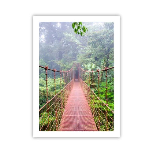 Póster - Un puente colgante en un bosque tropical envuelto en niebla. - 50x70cm - Suspendido sobre las copas - Decoración de pared moderna para salón y dormitorio ARTTOR