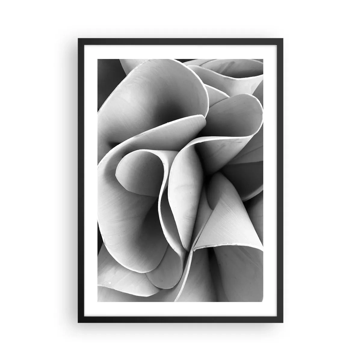 Póster en marco negro - Pétalos abstractos en tonos grises - 50x70cm - Sucede en el espacio - Decoración de pared moderna para salón y dormitorio ARTTOR