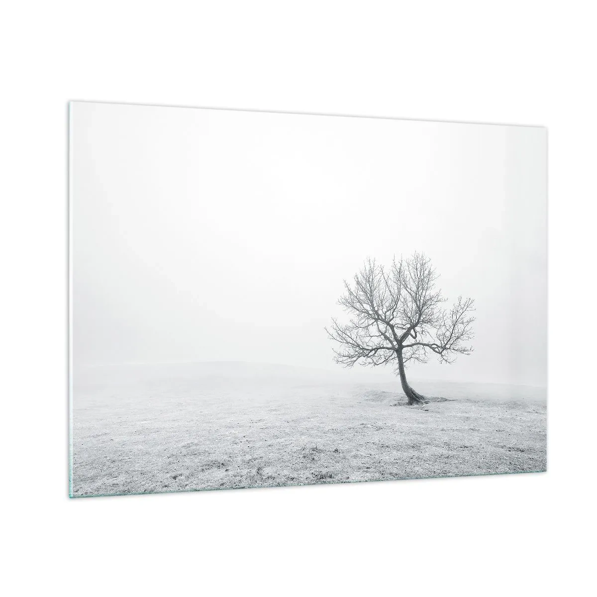 Cuadro sobre vidrio - Impresiones sobre Vidrio - Un árbol solitario contra la niebla en una composición monocromática. - 100x70cm - Contra la nada - Decoración de pared moderna para salón y dormitorio ARTTOR