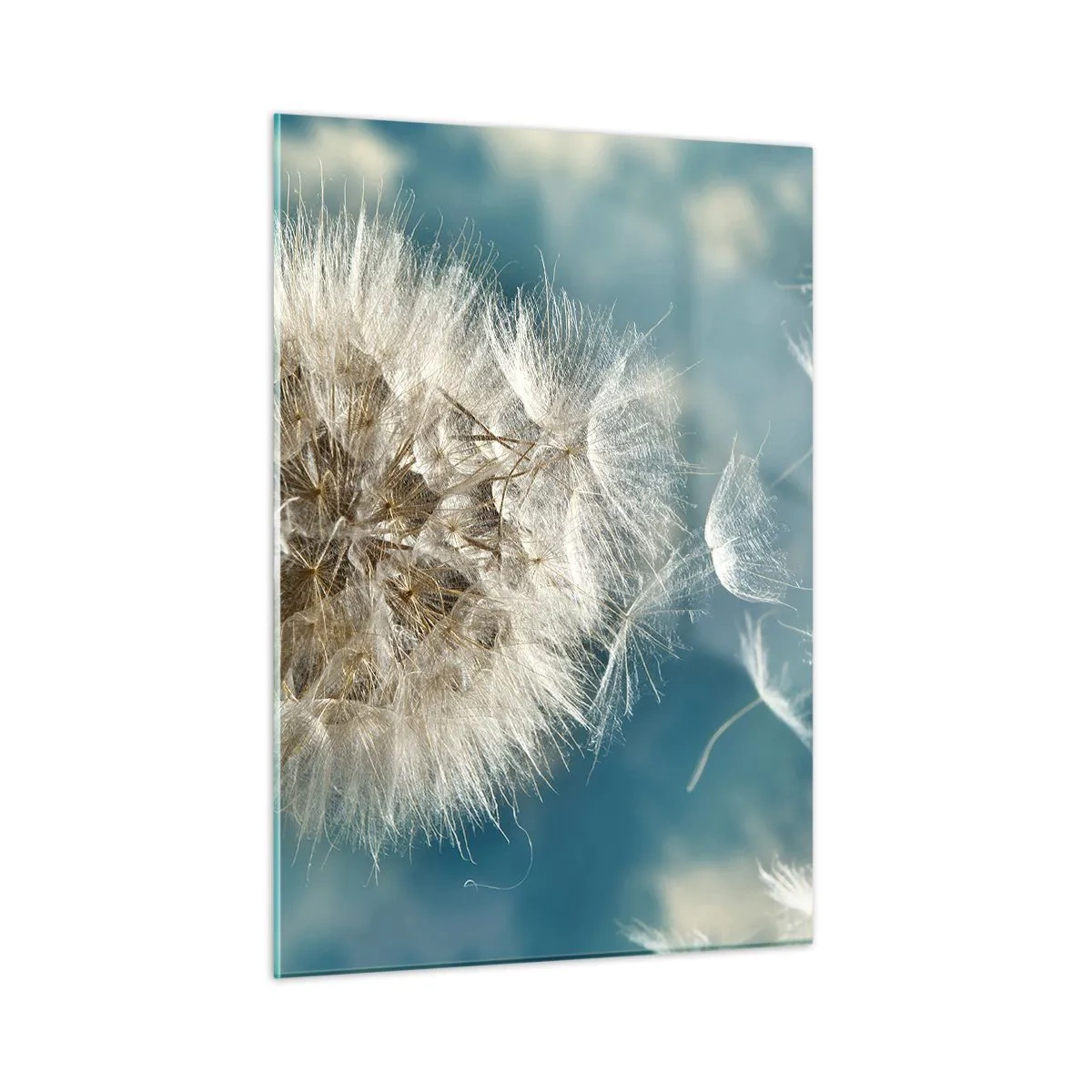 Cuadro sobre vidrio - Impresiones sobre Vidrio - Un delicado diente de león contra el cielo con semillas flotantes. - 50x70cm - El aliento de un ángel - Decoración de pared moderna para salón y dormitorio ARTTOR