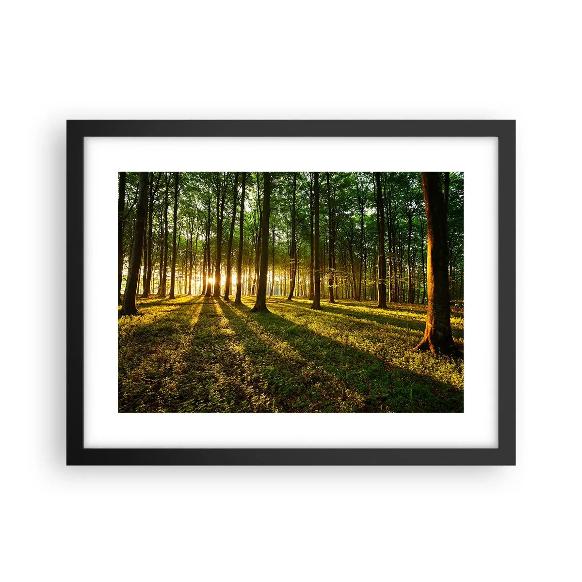 Póster en marco negro - Una fotografía de todos los manantiales - 40x30 cm
