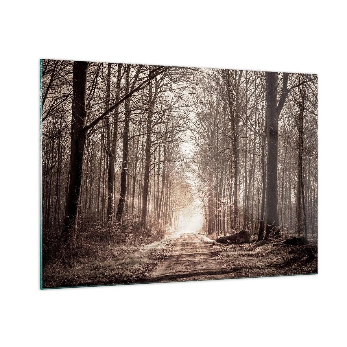 Cuadro sobre vidrio - Impresiones sobre Vidrio - Camino forestal en la niebla matutina - 100x70cm - La catedral del bosque - Decoración de pared moderna para salón y dormitorio ARTTOR