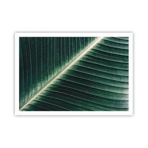 Póster - Primer plano de la estructura de una hoja verde. - 100x70cm - El ritmo de la naturaleza - Decoración de pared moderna para salón y dormitorio ARTTOR