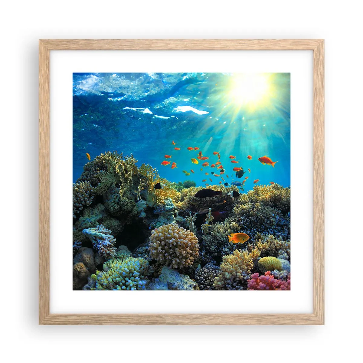 Póster en marco roble claro - Tesoros submarinos - 40x40 cm