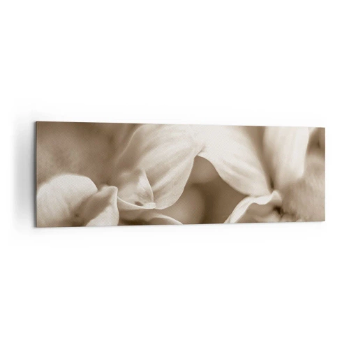 Cuadro sobre lienzo - Impresión de Imagen - Primer plano de flores en un delicado tono sepia con contornos suaves. - 160x50cm - Suave como una sonrisa - Decoración de pared moderna para salón y dormitorio ARTTOR