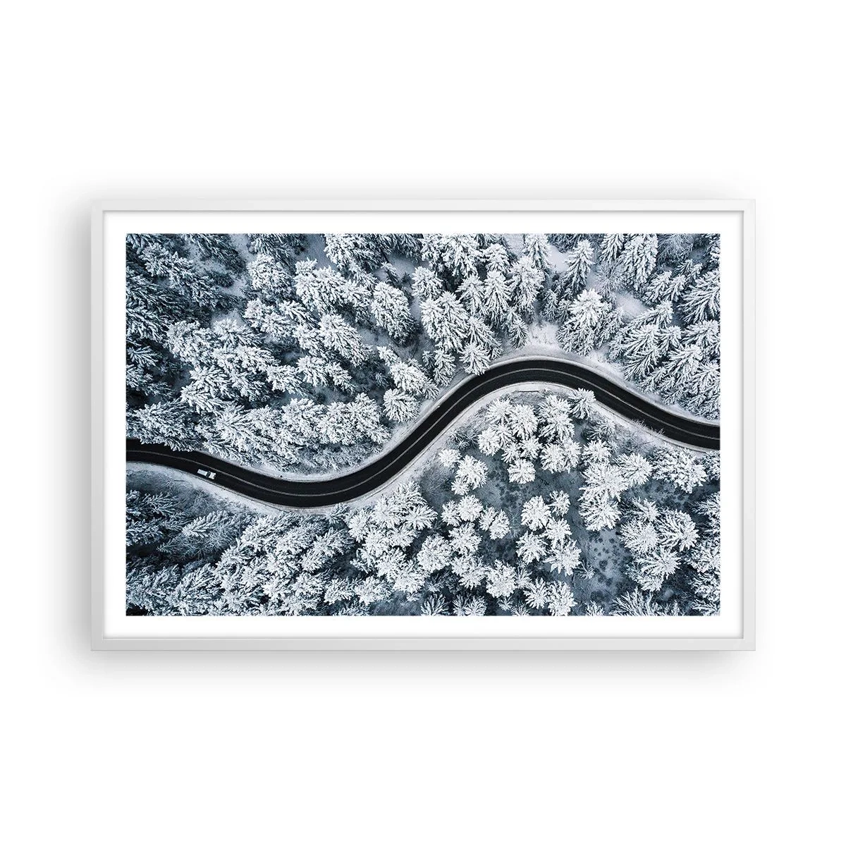 Póster en marco blanco - A través de un bosque invernal - 91x61 cm