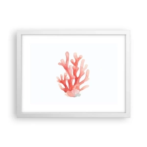 Póster en marco blanco - La hermosura del color coral - 40x30 cm