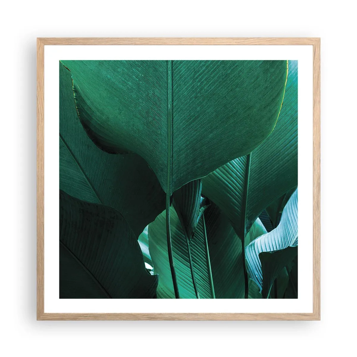 Póster en marco roble claro - De cara a la luz - 60x60 cm