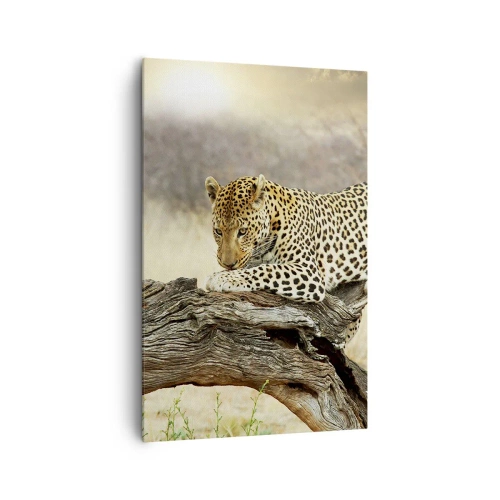 Cuadro sobre lienzo - Impresión de Imagen - Un leopardo descansando en el tronco de un árbol en la sabana. - 80x120cm - Voy por mi cuenta - Decoración de pared moderna para salón y dormitorio ARTTOR