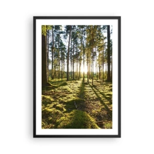 Póster en marco negro - Bosque verde por la mañana con los rayos del sol naciente. - 50x70cm - ...Más allá de los siete bosques - Decoración de pared moderna para salón y dormitorio ARTTOR
