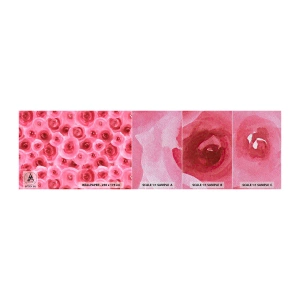 Muestra de fotomural Premium Sand - Rosas abajo y arriba - flores, Belleza, Romanticismo - 100x30 cm