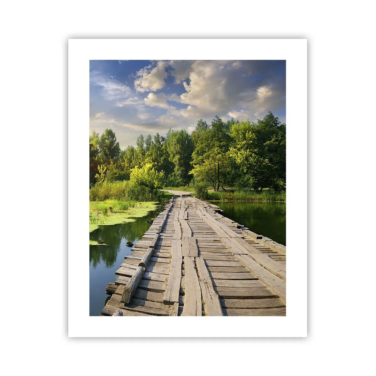 Póster - Verano, verano en todas partes - 40x50 cm