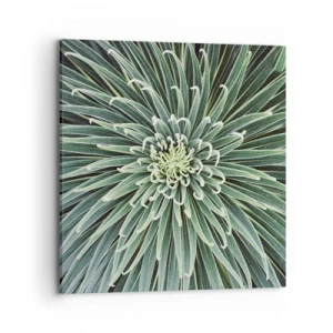 Cuadro sobre lienzo - Impresión de Imagen - El nacimiento de una estrella - 70x70 cm