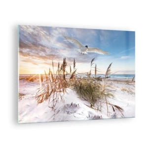 Cuadro sobre vidrio - Impresiones sobre Vidrio - Un pájaro volando sobre las dunas al atardecer. - 70x50cm - Viento del mar - Decoración de pared moderna para salón y dormitorio ARTTOR