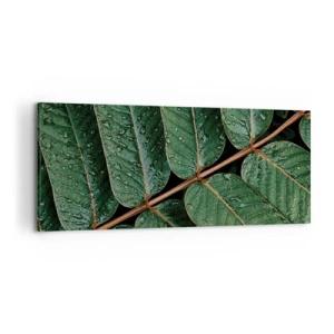 Cuadro sobre lienzo - Impresión de Imagen - Fotografía macro de hojas verdes con gotas de rocío. - 120x50cm - En un ritmo verde - Decoración de pared moderna para salón y dormitorio ARTTOR