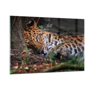 Cuadro sobre vidrio - Impresiones sobre Vidrio - Un jaguar tendido en el suelo, mirando tranquilamente a la cámara. - 120x80cm - Confía en mí - Decoración de pared moderna para salón y dormitorio ARTTOR