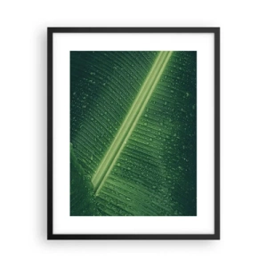 Póster en marco negro - Estructura del verde - 40x50 cm