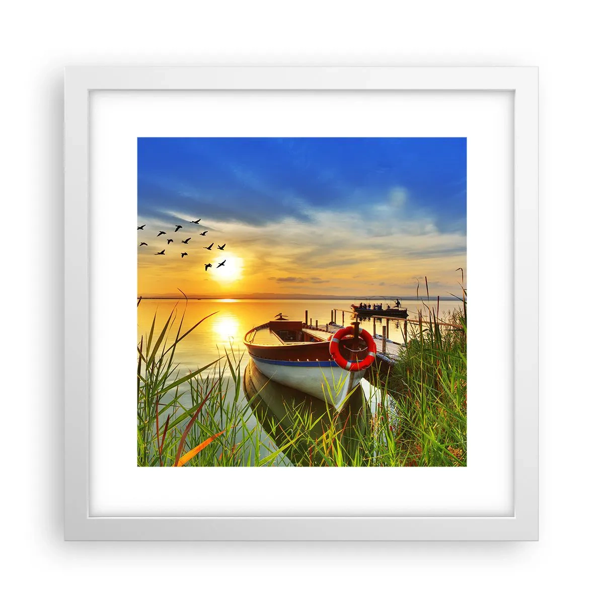 Póster en marco blanco - Los cormoranes están volando - 30x30 cm