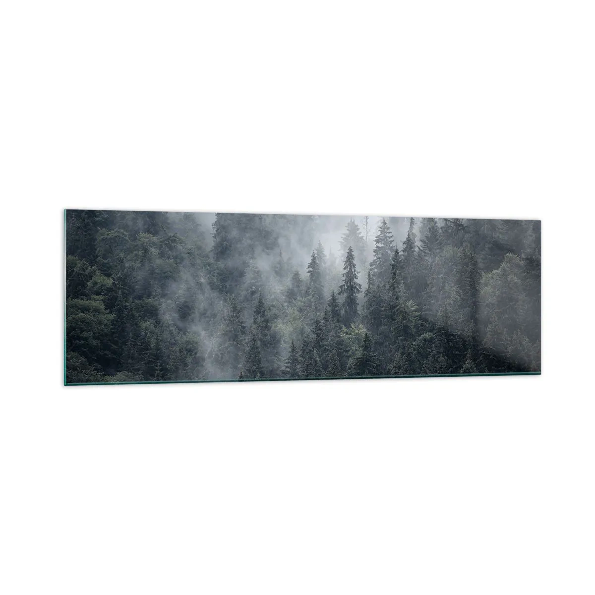 Cuadro sobre vidrio - Impresiones sobre Vidrio - Bosque de coníferas brumoso en tonos grises y verdes. - 160x50cm - Amanecer en el bosque - Decoración de pared moderna para salón y dormitorio ARTTOR
