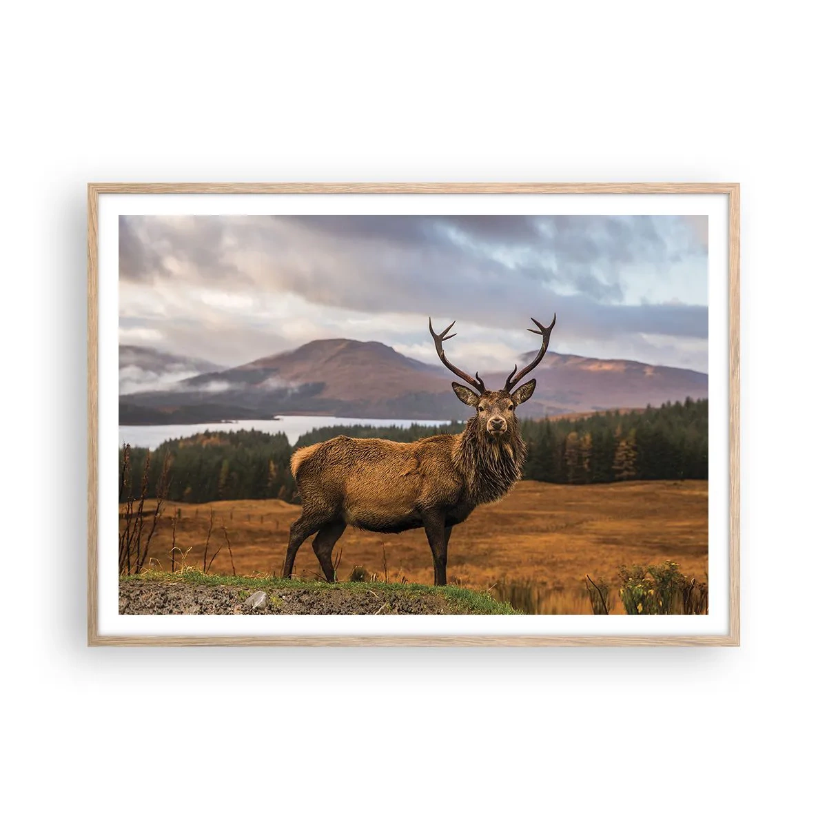 Póster en marco roble claro - La majestuosidad de la naturaleza - 100x70 cm