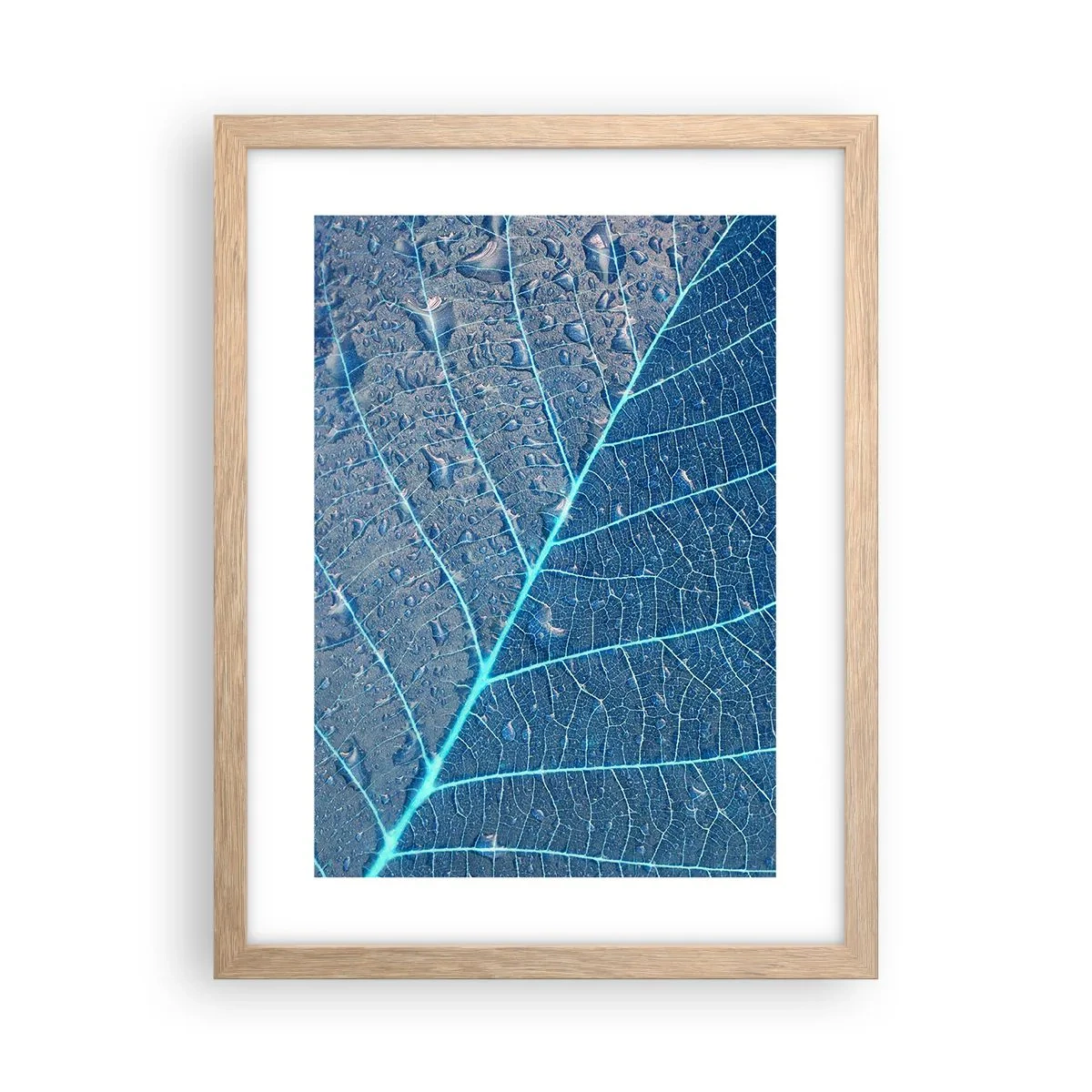 Póster en marco roble claro - Vida en el azul - 30x40 cm