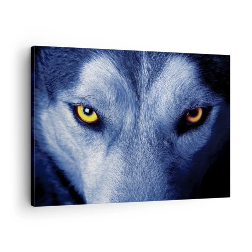 Cuadro sobre lienzo - Impresión de Imagen - Primer plano de la intensa mirada de un lobo sobre un fondo oscuro. - 70x50cm - La mirada hipnótica - Decoración de pared moderna para salón y dormitorio ARTTOR