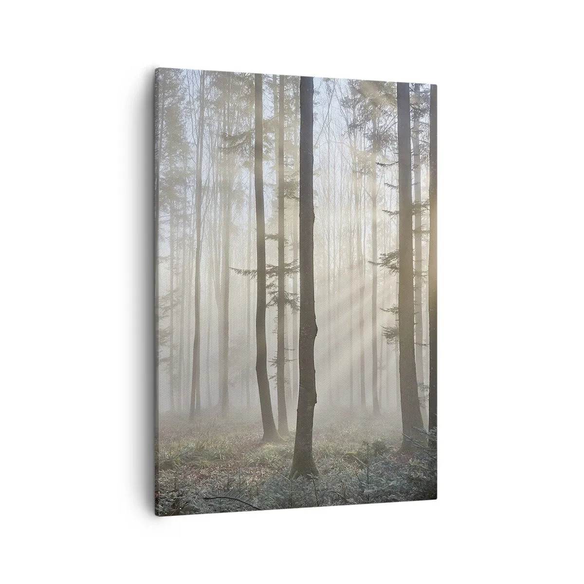 Cuadro sobre lienzo - Impresión de Imagen - Un bosque en medio de una ligera niebla con rayos de sol brillando a través de los árboles. - 50x70cm - La niebla también está despierta - Decoración de pared moderna para salón y dormitorio ARTTOR