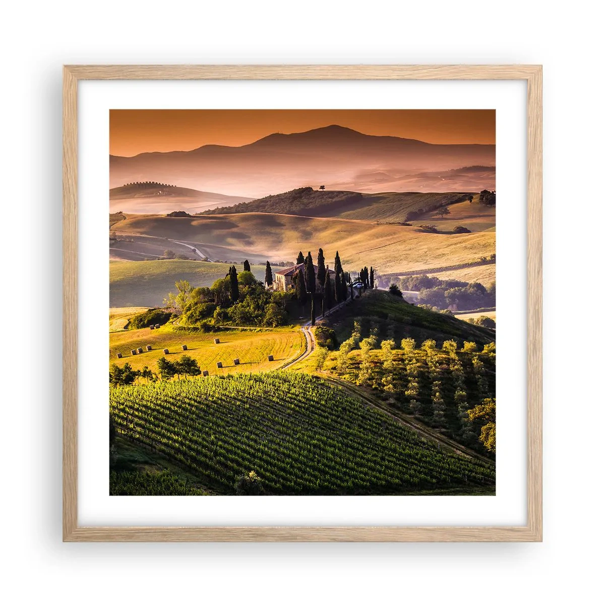 Póster en marco roble claro - Paisaje toscano - 50x50 cm