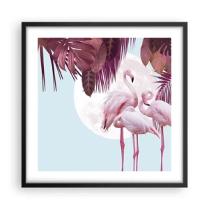 Póster en marco negro - La grandeza de las aves - 50x50 cm
