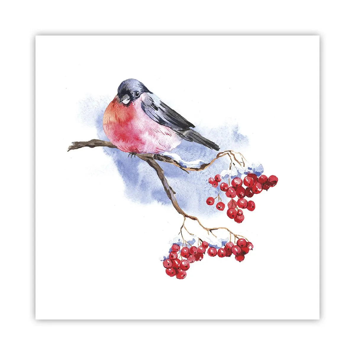 Póster - Invierno en color - 50x50 cm