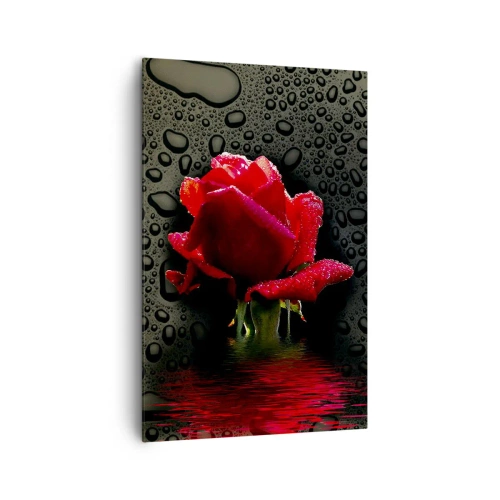 Cuadro sobre lienzo - Impresión de Imagen - Rosa roja con gotas de agua sobre un fondo oscuro - 80x120cm - Rojo y negro - Decoración de pared moderna para salón y dormitorio ARTTOR