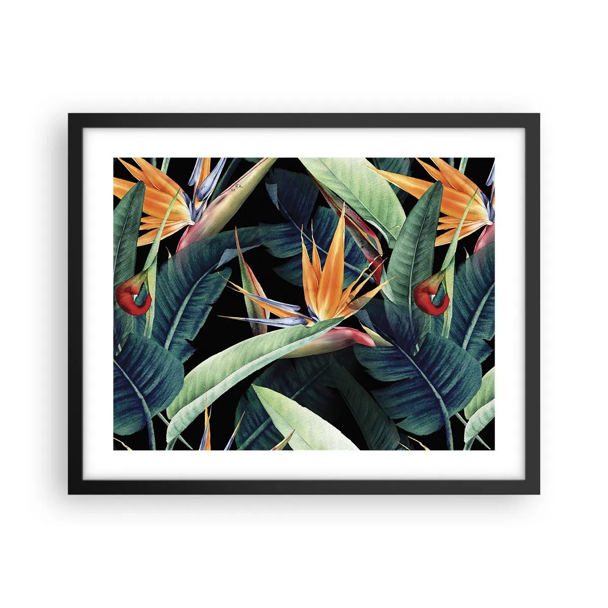 Póster en marco negro - Flores de llamas de los trópicos - 50x40 cm