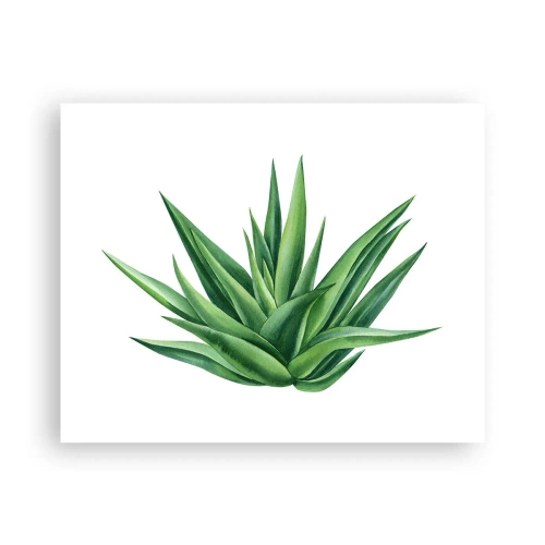 Póster - Verde - fuerza - vida - 50x40 cm