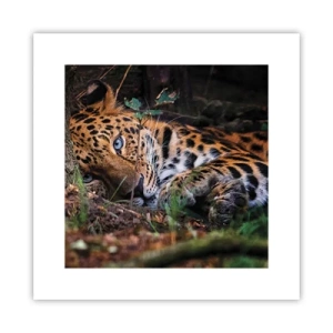 Póster - Confía en mí - 30x30 cm