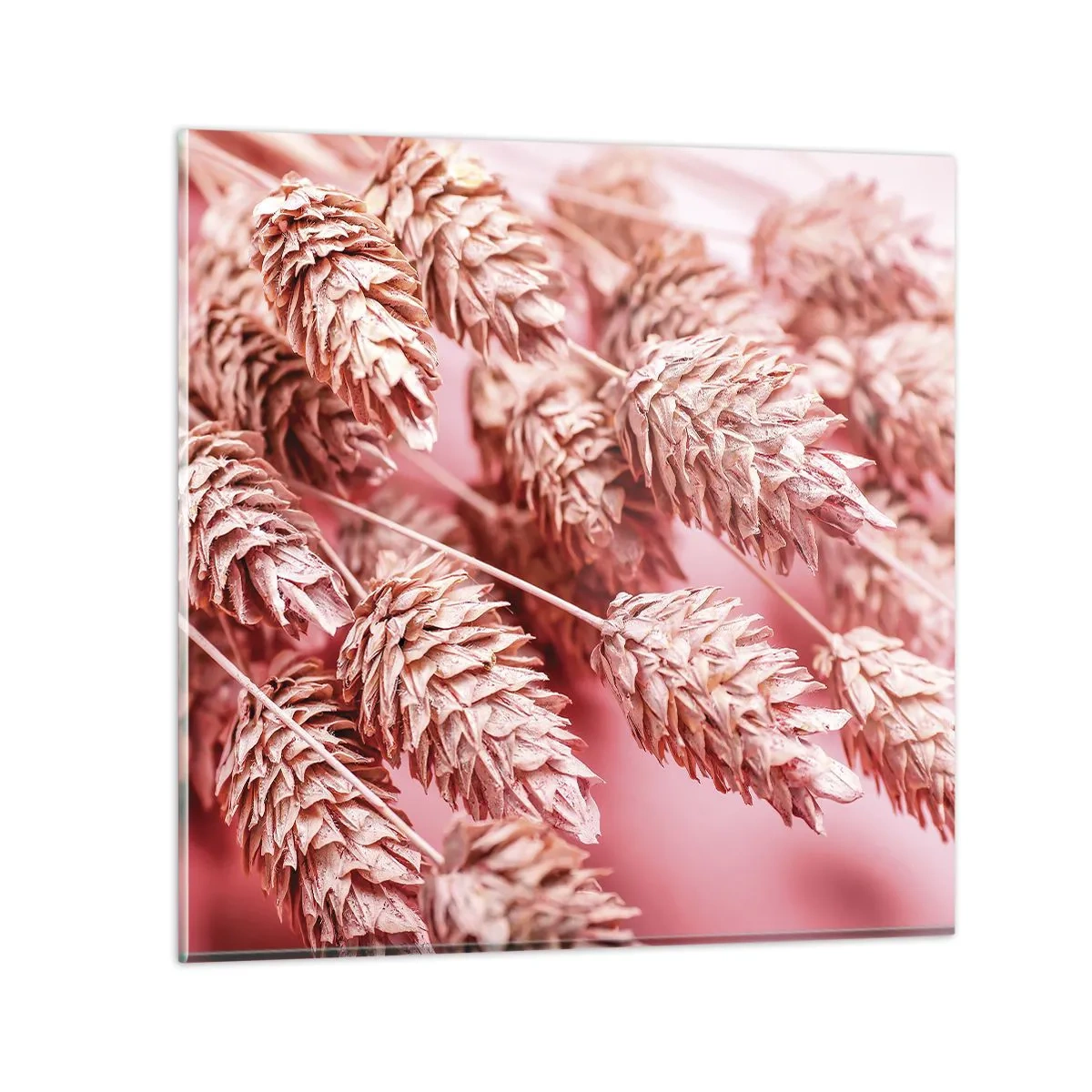 Cuadro sobre vidrio - Impresiones sobre Vidrio - Estructura floral en rosa - 40x40 cm
